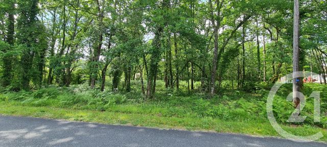 Afficher la photo en grand terrain à vendre - 890.0 m2 - ST SAUVEUR - 33 - AQUITAINE - Century 21 Agence Biran