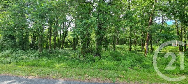 Afficher la photo en grand terrain à vendre - 890.0 m2 - ST SAUVEUR - 33 - AQUITAINE - Century 21 Agence Biran