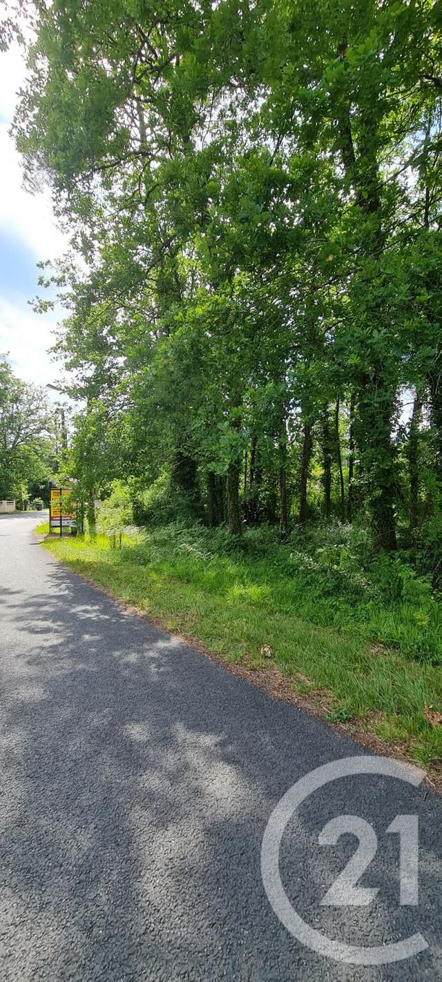 Afficher la photo en grand terrain à vendre - 890.0 m2 - ST SAUVEUR - 33 - AQUITAINE - Century 21 Agence Biran