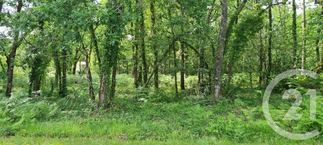 Afficher la photo en grand terrain à vendre - 890.0 m2 - ST SAUVEUR - 33 - AQUITAINE - Century 21 Agence Biran