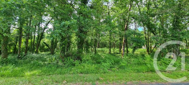Afficher la photo en grand terrain à vendre - 890.0 m2 - ST SAUVEUR - 33 - AQUITAINE - Century 21 Agence Biran
