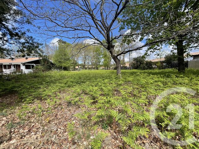 terrain à vendre - 989.0 m2 - HOURTIN - 33 - AQUITAINE - Century 21 Agence Biran