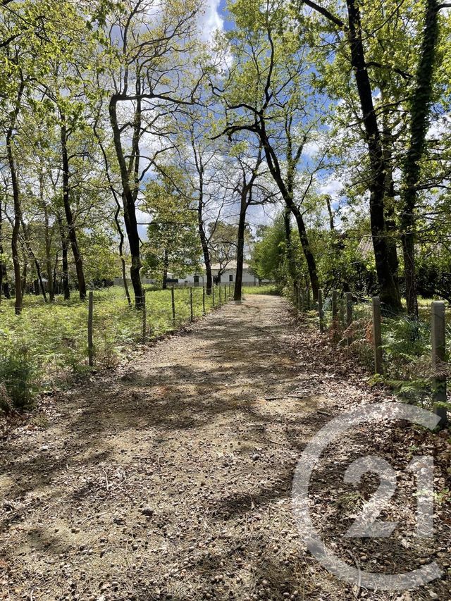 terrain à vendre - 989.0 m2 - HOURTIN - 33 - AQUITAINE - Century 21 Agence Biran