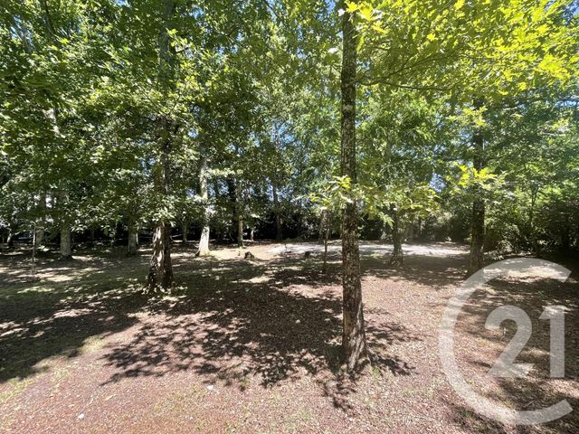 terrain à vendre - 850.0 m2 - HOURTIN - 33 - AQUITAINE - Century 21 Agence Biran