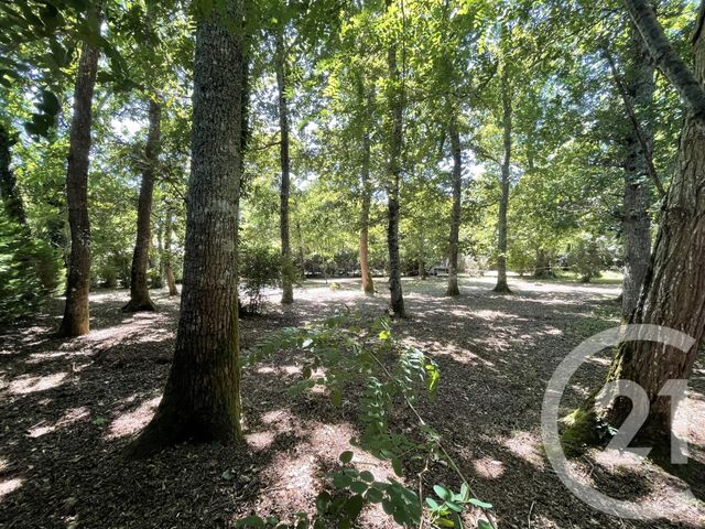 terrain à vendre - 850.0 m2 - HOURTIN - 33 - AQUITAINE - Century 21 Agence Biran
