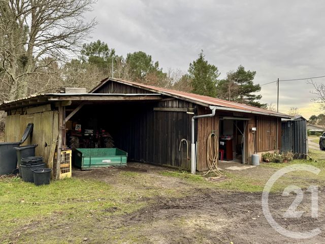 maison à vendre - 5 pièces - 100.0 m2 - HOURTIN - 33 - AQUITAINE - Century 21 Agence Biran