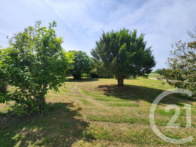 maison à vendre - 7 pièces - 180.81 m2 - LAMARQUE - 33 - AQUITAINE - Century 21 Agence Biran