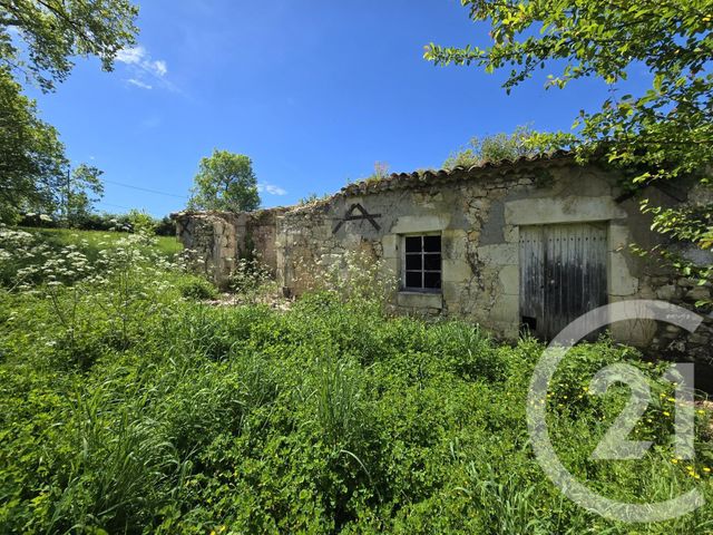 maison à vendre - 3 pièces - 383.72 m2 - VERTHEUIL - 33 - AQUITAINE - Century 21 Agence Biran